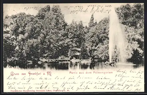 AK Frankfurt-Westend, Partie aus dem Palmengarten