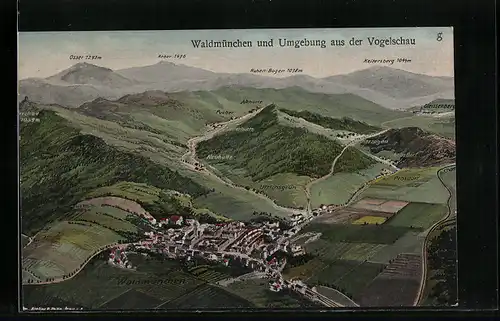 Künstler-AK Eugen Felle: Waldmünchen, Ort und Umgebung aus der Vogelschau