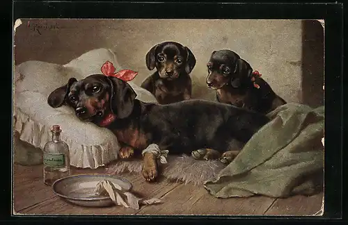 Künstler-AK Carl Reichert: Kranker Dackel und besorgte Welpen