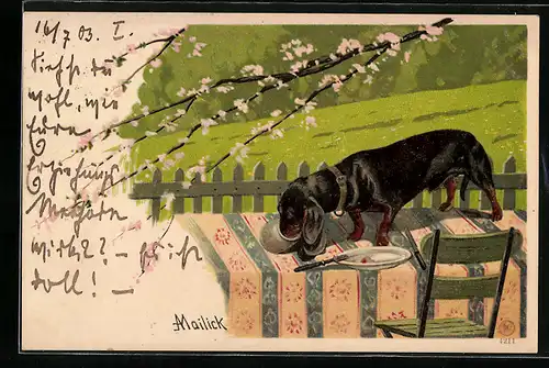 Künstler-AK Alfred Mailick: Dackel auf dem Tisch säuft aus dem Krug