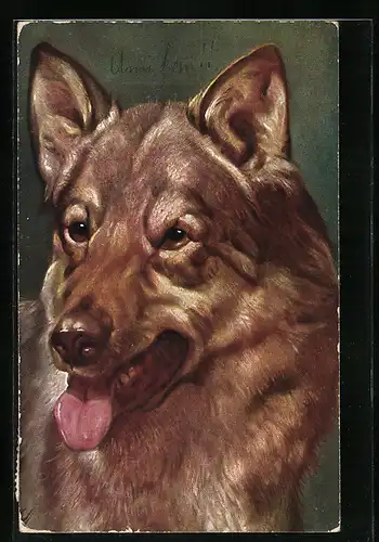 Künstler-AK Ludwig Fromme: Wolf mit heraushängender Zunge