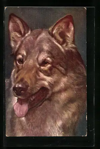 Künstler-AK Ludwig Fromme unsign.: Ein brauner Wolf