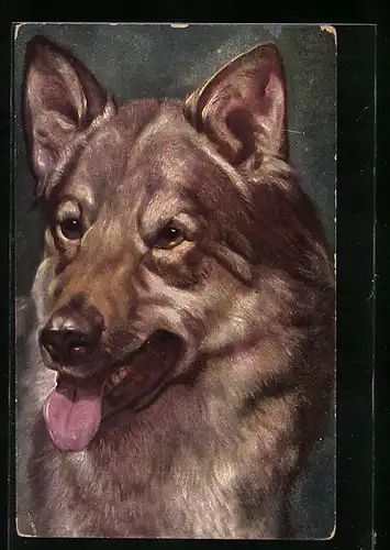 Künstler-AK Ludwig Fromme unsign.: Ein brauner Wolf