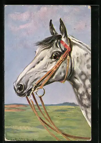 Künstler-AK Ermenegildo Carlo Donadini: Pferdekopf mit Zaumzeug