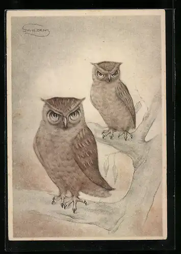 Künstler-AK Uhus sitzen auf einem Baum