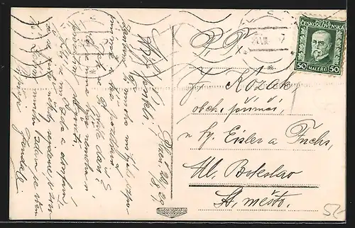 AK Pilsen / Plzen, Hotel Continental