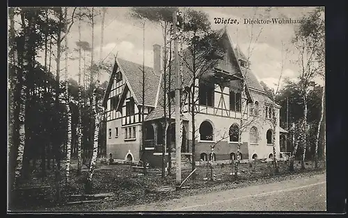 AK Wietze /Kr. Celle, Direktor-Wohnhaus, Deutsche Mineralöl-Industrie AG