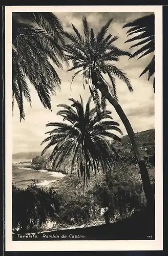 AK Tenerife, Rambla de Castro