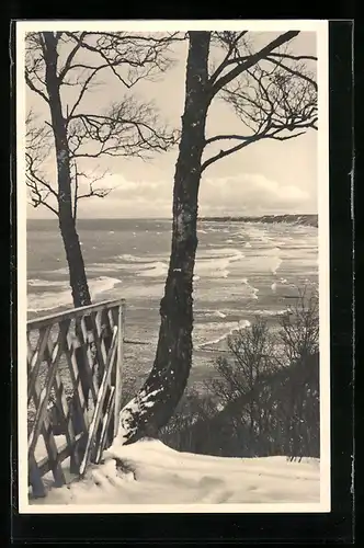 AK Königsberg, Ostpreussische Steilküste an einem Wintertag
