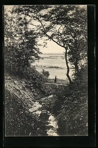 AK Neukuhren, Ostseebad, Heinrichsschlucht