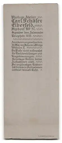 Fotografie Carl Schäfer, Elberfeld, Kipdorf 57, Portrait bürgerliche Dame mit Buch an Tisch gelehnt