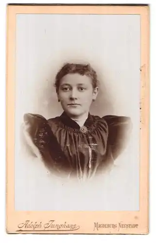 Fotografie Adolph Junghans, Magdeburg-Neustadt, Breiteweg 21, Portrait junge Dame mit Kragenbrosche