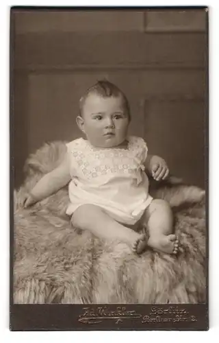 Fotografie Adolf Winkler, Görlitz, Berliner Strasse 12, Säugling im Spitzenkleidchen