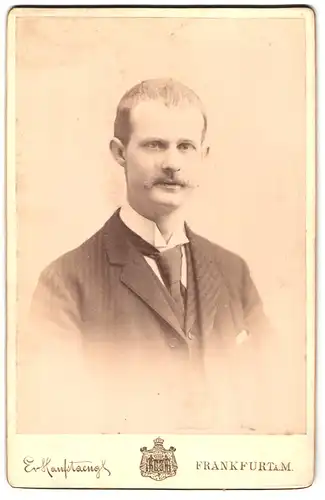 Fotografie Prof. Erwin Hanfstaengl, Frankfurt a / M., Portrait stattlicher Herr mit Krawatte und Schnurrbart