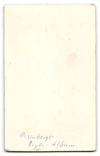 Fotografie A. Roth, Hamburg, Alter Wall 26, Portrait Herr mit Vollbart