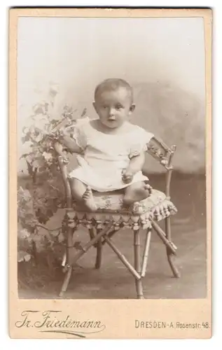 Fotografie Tr. Friedemann, Dresden-A, Rosenstrasse 48, Portrait niedliches Kleinkind im weissen Hemd auf Stuhl sitzend