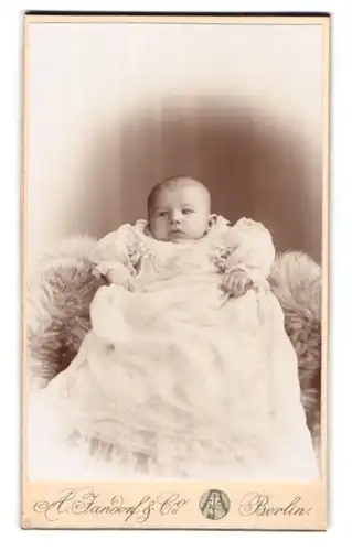 Fotografie A. Jandorf & Co., Berlin-NO, Grosse Frankfurterstrasse 113, Portrait niedliches Baby im langen weissen Kleid