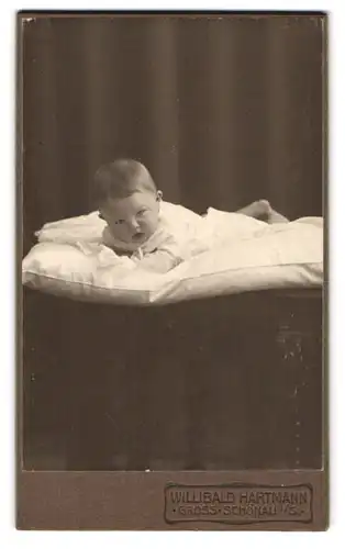 Fotografie Willibald Hartmann, Gross-Schönau i. S., Säugling auf einem Kissen