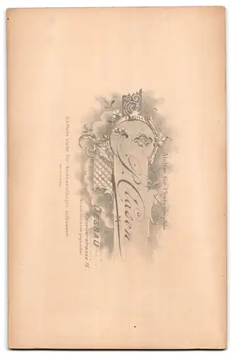 Fotografie P. Clasen, Dessau, Cavalierstrasse 16, Junger Mann in Anzug und Schlips mit Scheitelfrisur