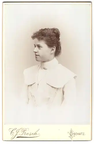 Fotografie C. J. Prosch, Oschatz, Hospitalstrasse 40, Portrait junge Dame mit hochgestecktem Haar