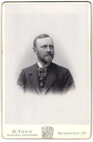 Fotografie H. Tonn, Schwerin i. M., Kaiser Wilhelm Strasse 10, Eleganter Bürgerlicher mit gepflegtem Vollbart