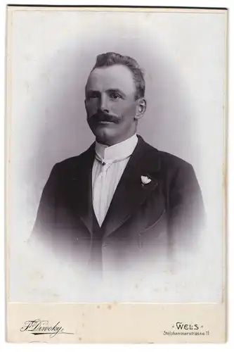 Fotografie Franz Diwoky, Wels, Stelzhammerstrasse 11, Portrait stattlicher Herr mit Krawatte und Schnauzbart