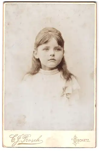 Fotografie G. J. Prosch, Oschatz, Hospitalstrasse 40, Portrait kleines Mädchen im hübschen Kleid