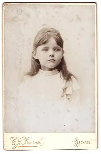 Fotografie C. J. Prosch, Oschatz, Hospitalstrasse 40, Portrait kleines Mädchen im hübschen Kleid