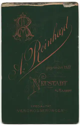 Fotografie A. Reinhard, Neustadt / Pfalz, Herr mit grossem Oberlippenbart und Brille