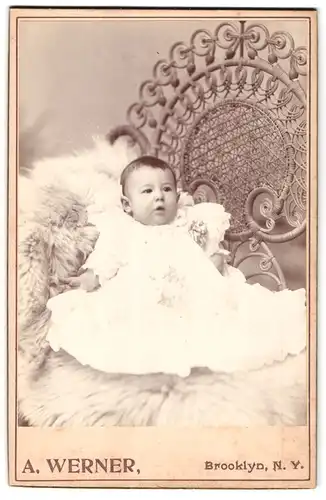 Fotografie A. Werner, New York, 709-711 Broadway, Kleinkind im Kleidchen liegt auf einem Fell