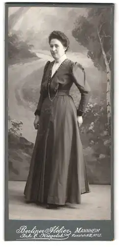 Fotografie E. Kregeloh, Mannheim, Portrait bürgerliche Dame im eleganten Kleid