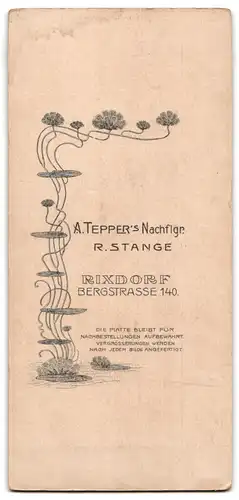 Fotografie A. Tepper`s Nachflgr., Berlin-Rixdorf, Bergstrasse 140, Portrait junger Herr in eleganter Kleidung mit Fliege