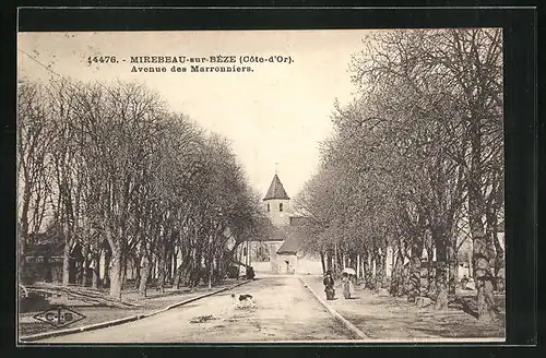 AK Mirebeau-sur-Bèze, Avenue des Marroniers