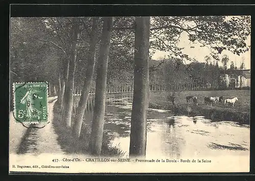 AK Chatillon-sur-Seine, Promenade de la Douix