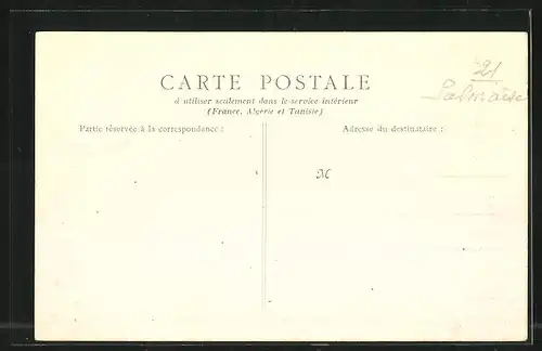 AK Salmaise, Vue du Village et du Chateau Ducal