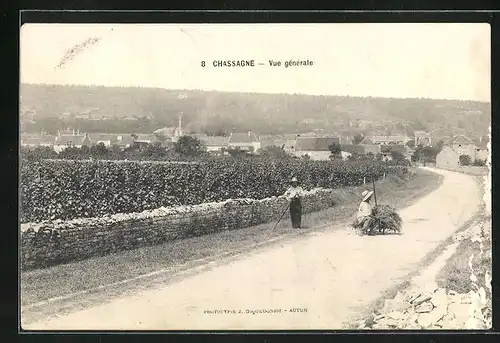 AK Chassagne, Vue générale