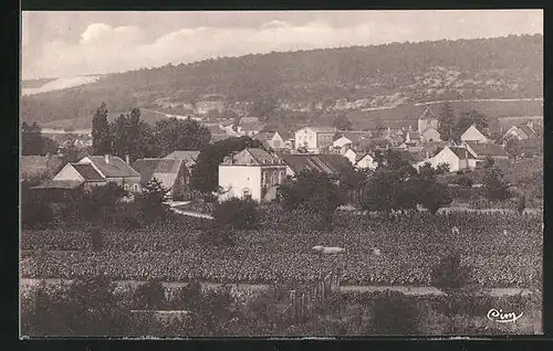 AK Premeaux, Vue générale