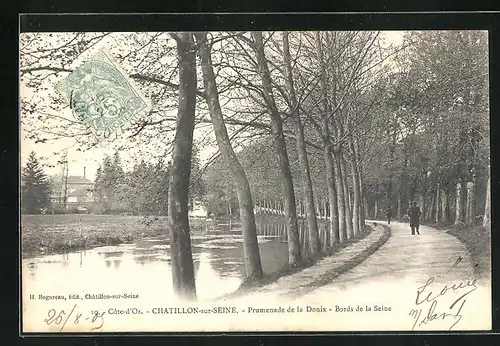 AK Chatillon-sur-Seine, Promenade de la Douix