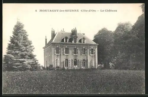 AK Montagny-les-Seurre, Le Chateau