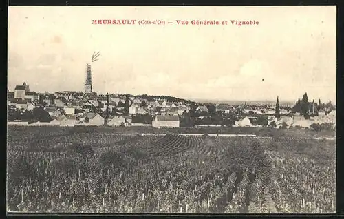 AK Meursault, Vue Générale et Vignoble