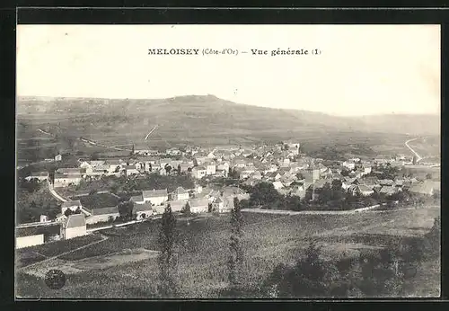 AK Meloisey, Vue générale