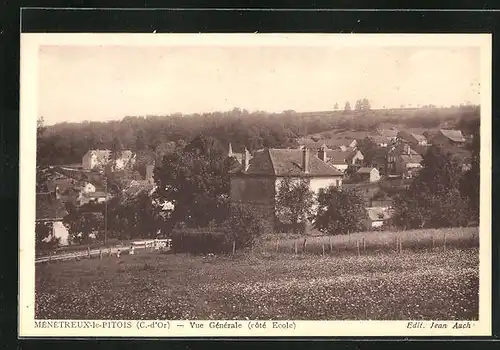 AK Ménétreux-le-Pitois, Vue Générale