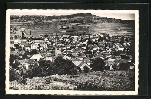 AK Meloisey, Vue générale