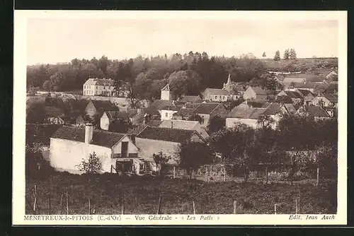 AK Ménétreux-le-Pitois, Vue Générale Les Patis