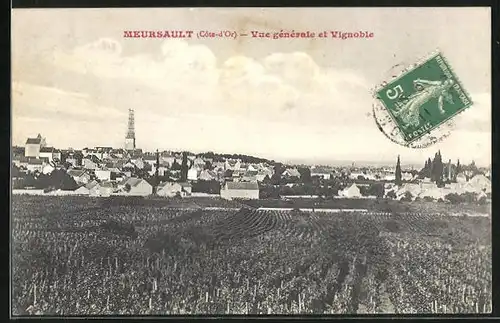 AK Meursault, Vue générale et Vignoble