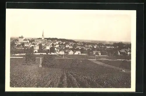 AK Meursault, Vue générale