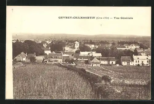 AK Gevrey-Chambertin, Vue Générale