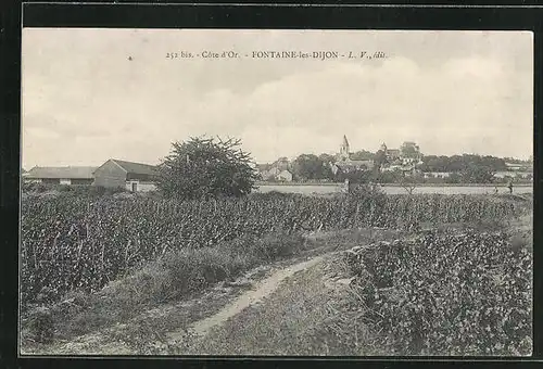 AK Fontaine-les-Dijon, Vue Générale