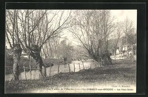 AK Gissey-sur-Ouche, Les Veux Saules