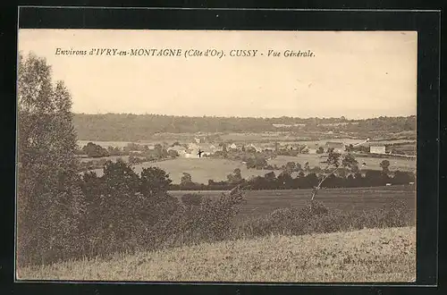 AK Cussy, Vue Générale